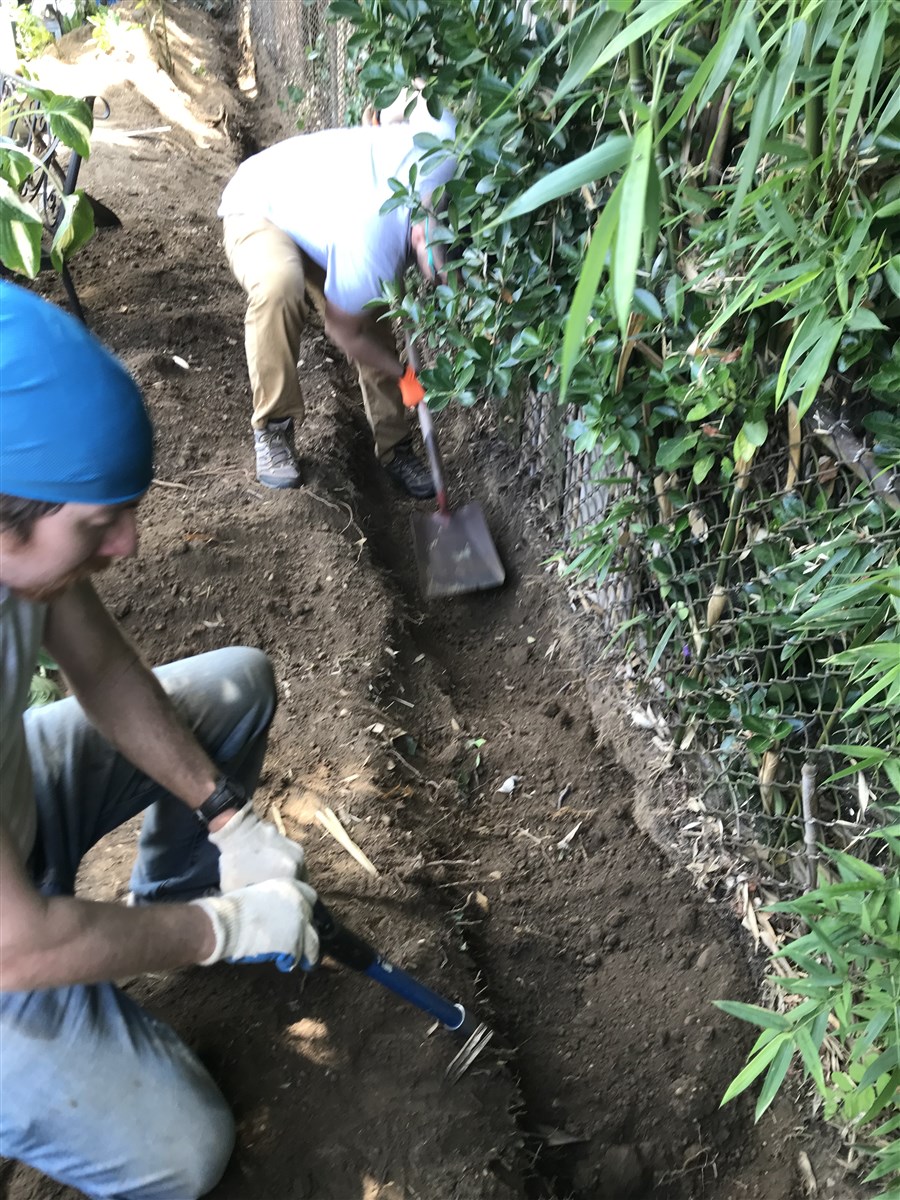 Digging is fun - by Thomas - Human@Ease Fitness & Wellness Center
